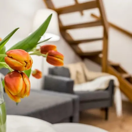 Dorothy's Apartamento